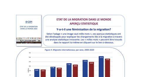 Y-a-t-il une féminisation de la migration?