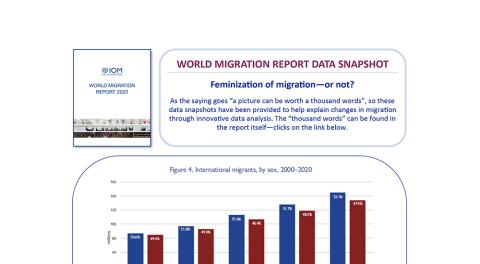 WMR 2022: Feminization of migration—or not? 