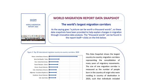 WMR 2022: The world’s largest migration corridors