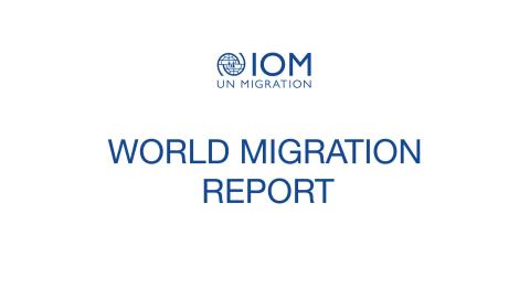 Informaciones generales: Informe sobre la migracion en el mundo